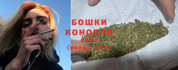 дмт Богородицк