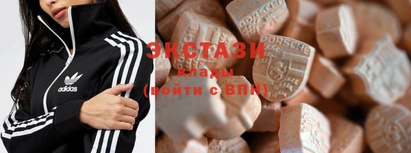 дмт Богородицк