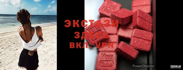 дмт Богородицк