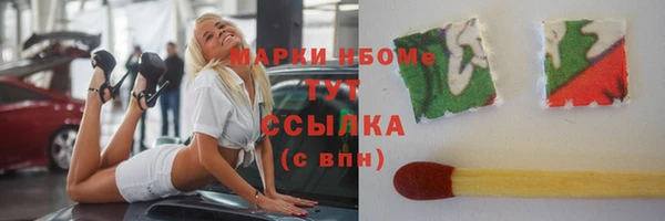 дмт Богородицк