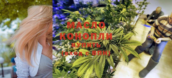дмт Богородицк