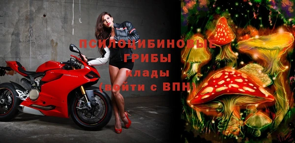 марки nbome Богданович