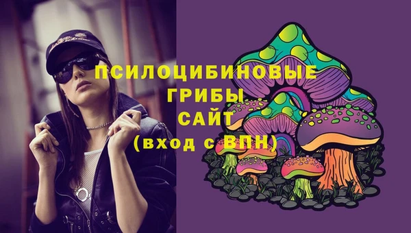 марки nbome Богданович